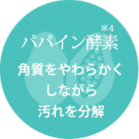 パパイン酵素