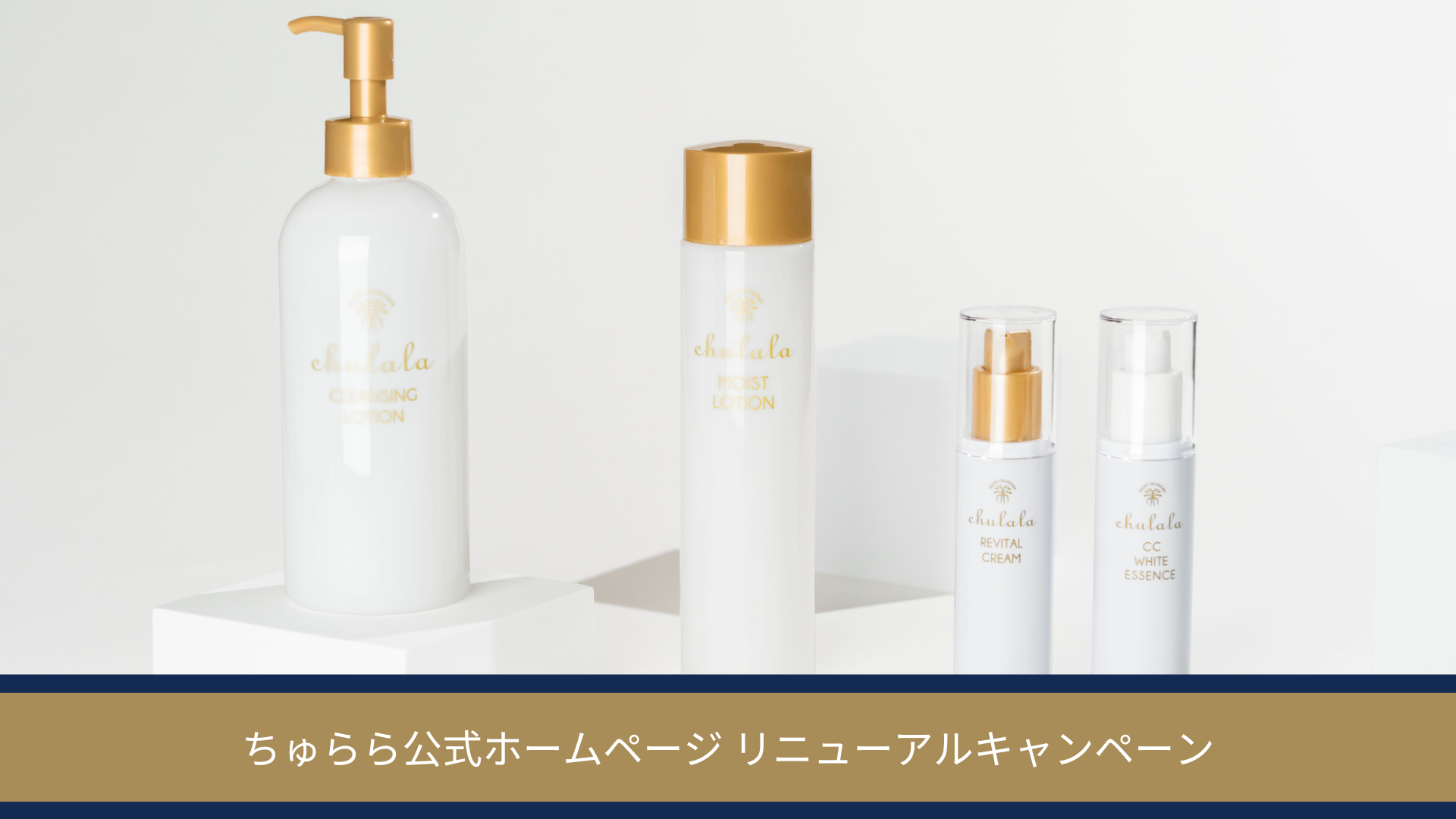キャンペーン